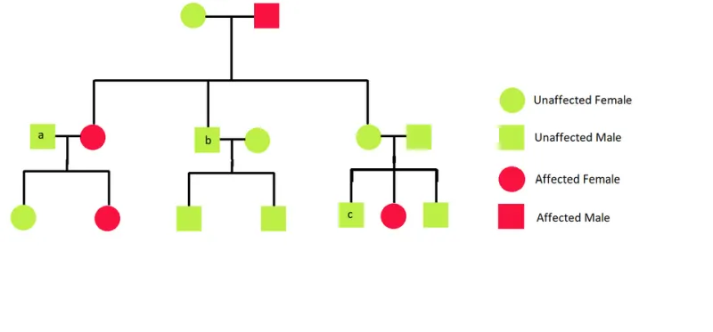 It Runs in the Family: A Practical Guide to G6PD Inheritance, Carrier Status, and Protecting the People You Love